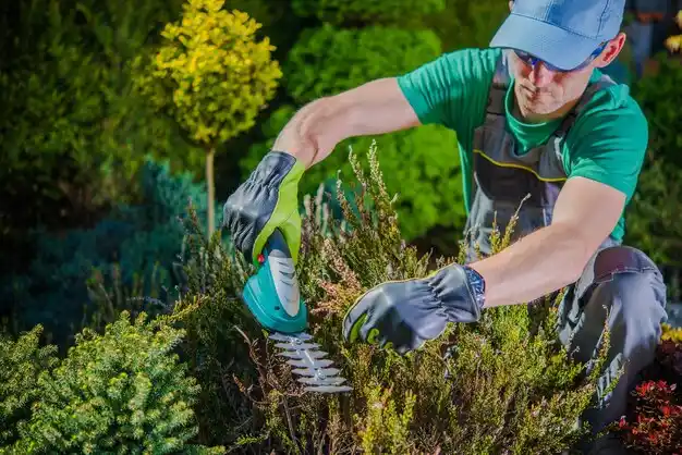 landscaping services Fiskdale